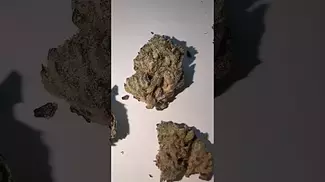 4C Labs KM T24 (Khalifa Mints) Quick Look! medicalcannabisuk prescription 4clabs