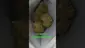 Video Thumbnail: Zee420
