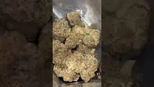 High Jack Video Thumbnail
