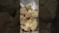 Video Thumbnail: High Jack