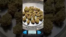 Pain Patient Video Thumbnail