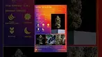 superseed cake City t30 uk medical cannabis.