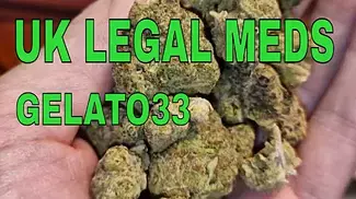 UK LEGAL MEDS: LOT 420 GLT