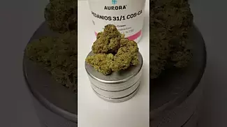 Medically prescribed in the UK. For patient information only.