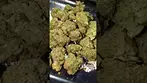AURORA MOON BERRY (UK PRESCRIPTION MEDICATION)