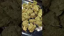 PrescribedBouquet Video Thumbnail