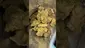 Video Thumbnail: High Jack