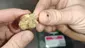 Video Thumbnail: CannaChris