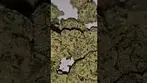 Sinceritas Mac & Green Crack Azztecmedia has a look 8.5/10 #uk #medicalcannabiscommunity #anxiety