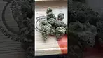 Uklegal #phant Powdered donuts 25%thc1%cbd #medicated #mentalhealth #review #mentalhealthawareness