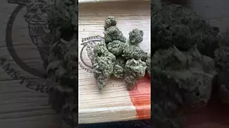 Uklegal #phant Powdered donuts 25%thc1%cbd #medicated #mentalhealth #review #mentalhealthawareness