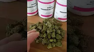 Aurora Pink Diesel T31  #medicalcannabis #medicalcannabisuk