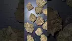 You’ve Never Seen Medical Weed THIS Pretty  | 4C Labs Jokerz