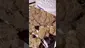 Video Thumbnail: MarmitesMedicalUK
