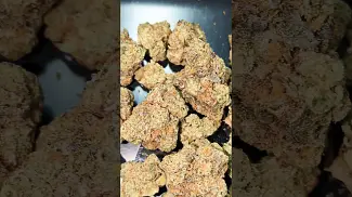 4C LABS MORNING SUN (UK PRESCRIPTION MEDICATION)
