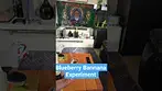 Blueberry Bannana - Pure 0.5g Organic - Experiment - Worked amazing - No Tobacco #bluelobster