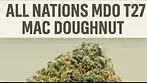 All Nations MDO T27 MAC Doughnut Medical Flower | FIRST IMPRESSIONS