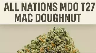 All Nations MDO T27 MAC Doughnut Medical Flower | FIRST IMPRESSIONS