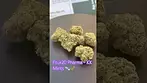 Four20 Pharma ~ KK Mints T30 Review in description