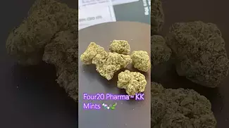 Four20 Pharma ~ KK Mints T30 Review in description