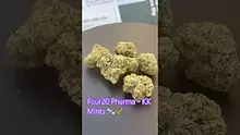Smokey Mo Video Thumbnail