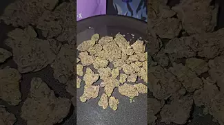 Cali-x Biscotti UK Medical Flower First Impressions
