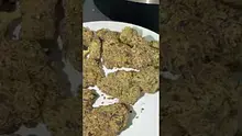 Medi Blaze Video Thumbnail