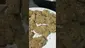 Video Thumbnail: Medi Blaze