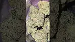 Aurora Pedanios FLH T25 Frozen Lemon Haze (Jet Fuel Gelato x White MAC) Lime Gas Smooth Sweet Peel
