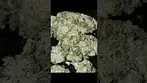 Green Karat Supreme Diesel 29% - Review in Description #ukmedicalcannabis #shorts