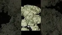 HighThoughts Low Focus Video Thumbnail