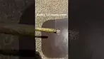Aurora T31 cosmic cream burn