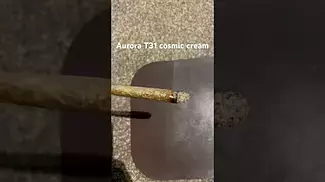 Aurora T31 cosmic cream burn