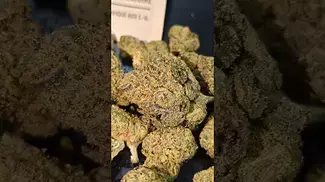 LUMIR MINT SHERBET (UK PRESCRIPTION MEDICATION)