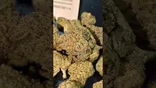 PrescribedBouquet Video Thumbnail