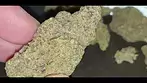 The best uk medical cannabis MAC1 ((RETURN OF THE MAC))