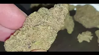 The best uk medical cannabis MAC1 ((RETURN OF THE MAC))