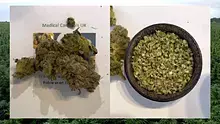 MCUK Video Thumbnail
