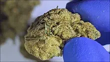 Buds Lullaby UK Video Thumbnail