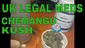 Video Thumbnail: Smacksalad