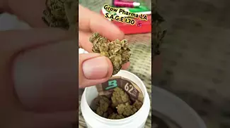 Grow Pharma LA S.A.G.E t30 #medicalcannabis #painrelief #ukmedicalcannabis #cannabiscommunity420