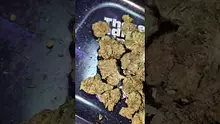 PrescribedBouquet Video Thumbnail