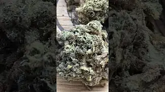 Uklegal #GoodSupplyReserve Pave34 26%thc1%cbd #medicated #mentalhealth #ukmeds #itsokaytotalk