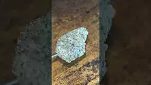 Smokey Mo Video Thumbnail