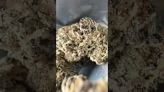 Green Karat |King Sherb | UK Medical Flower #medicalcannabis #ukmedicalcannabis