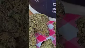 Uk Medical Flower Broken Coast Amnesia Haze 28%. Canadian Grown. Gamma Irradiated flower.