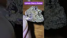 Vinnie's Lounge Video Thumbnail