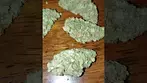 Noidecs sativa t20 , t20 indica review medical  cannabis