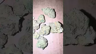 Permanent marker uk medical cannabis #cannabisheals #uk #medical