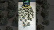 Doc Green Bud Video Thumbnail